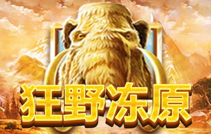 大红鹰dhy7788